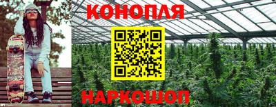 эйфоретик Бийск