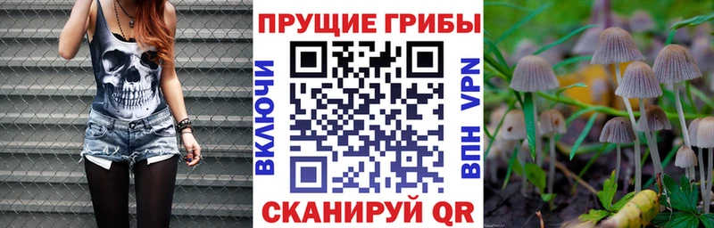 Псилоцибиновые грибы ЛСД Губаха