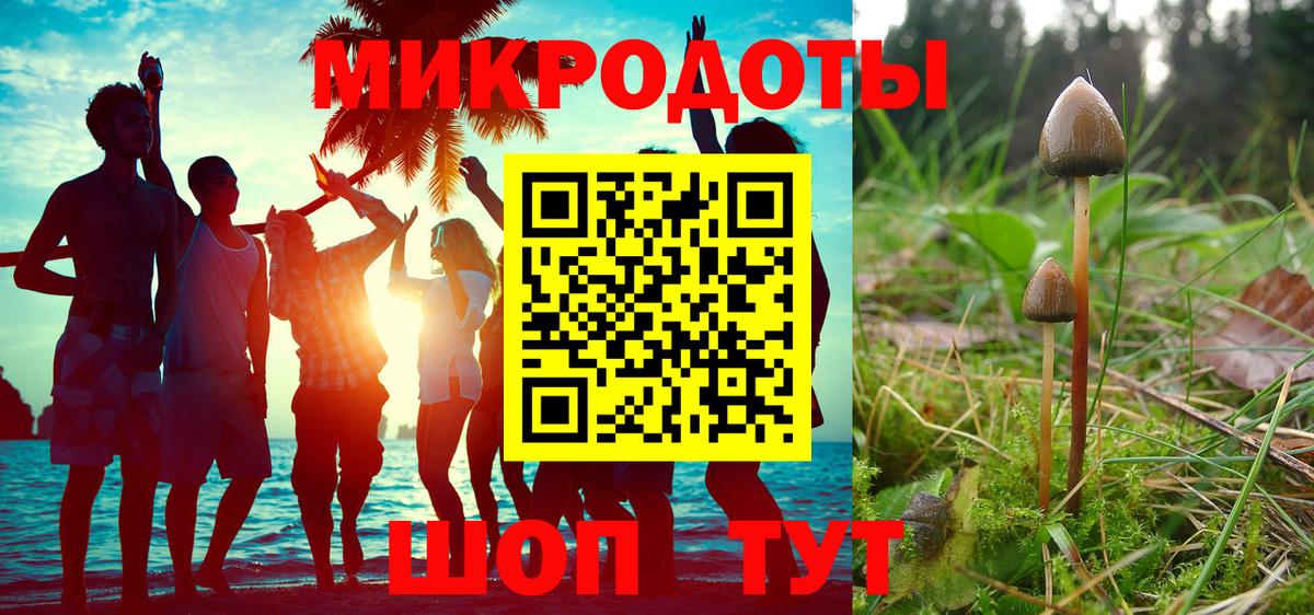 Галлюциногенные грибы прущие грибы  Вход с VPN  Губаха 