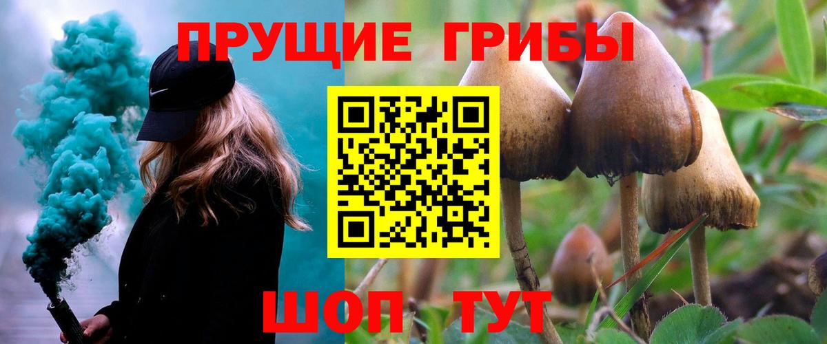 Псилоцибиновые грибы мухоморы Губаха